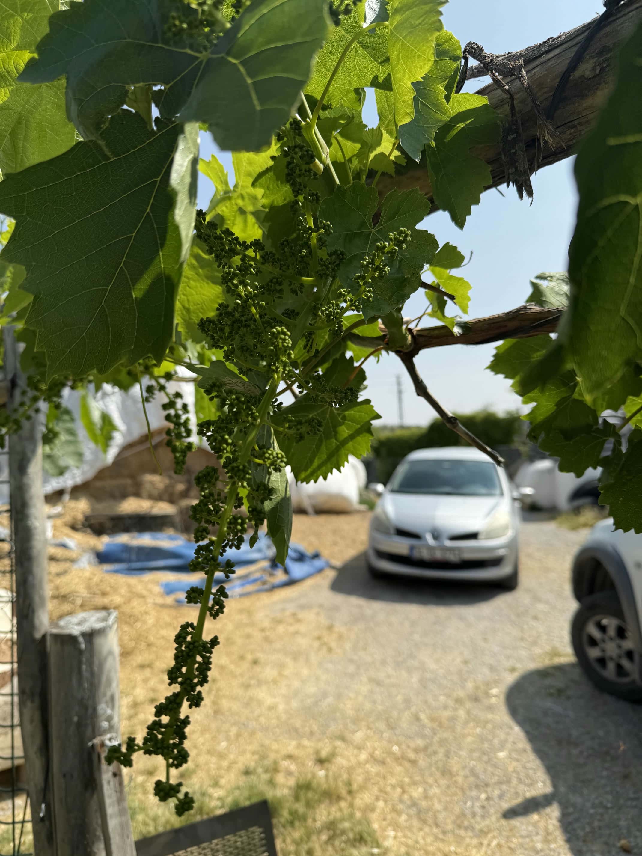 JetMi Tarım ve Hayvancılık