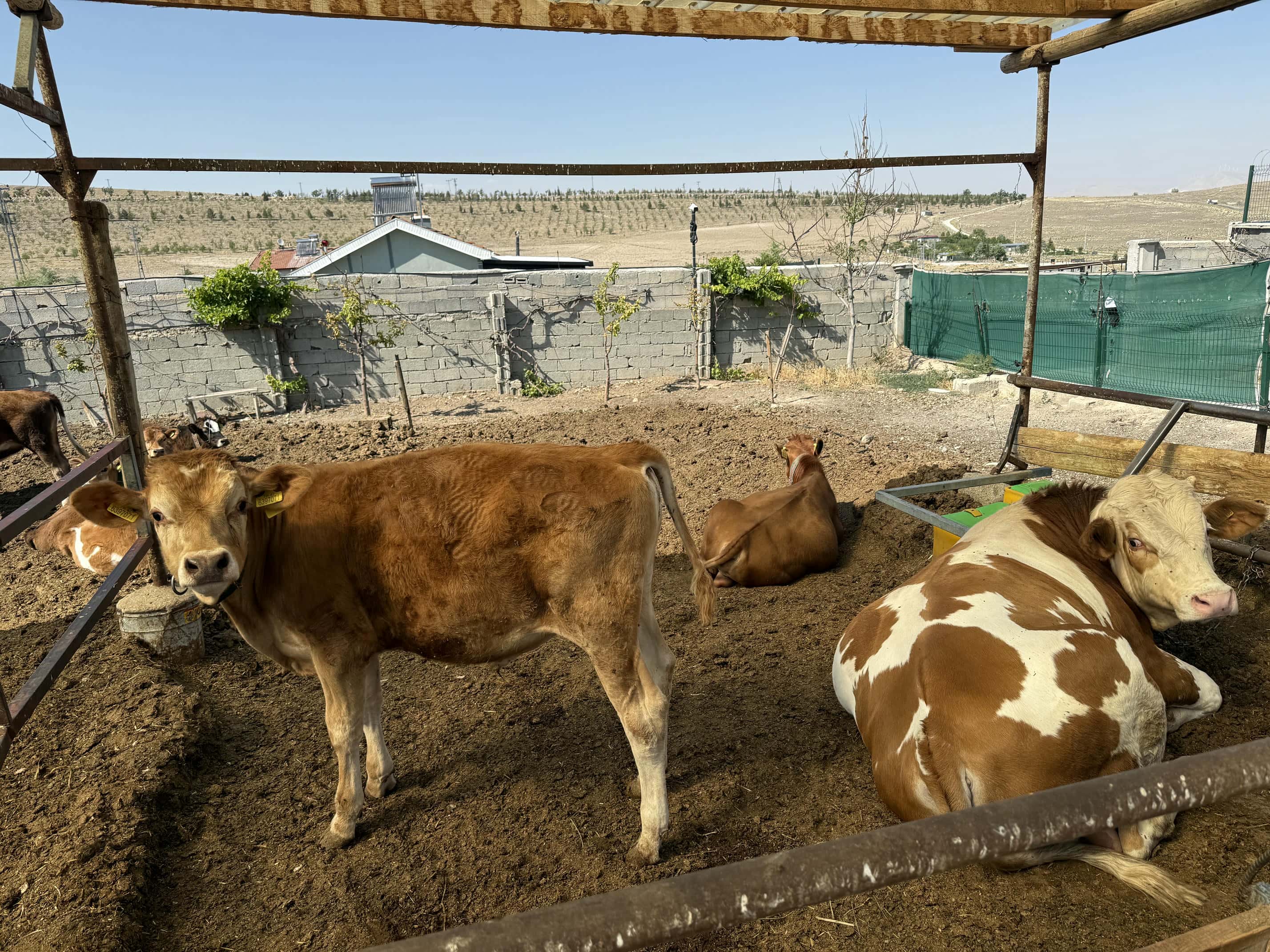 JetMi Tarım ve Hayvancılık