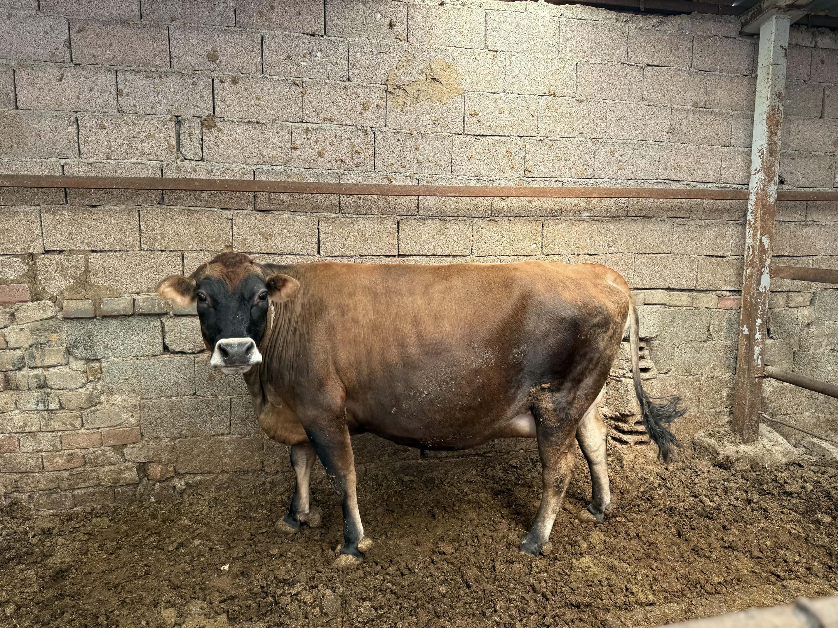 JetMi Tarım ve Hayvancılık